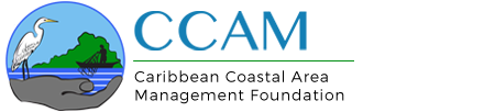 C-CAM